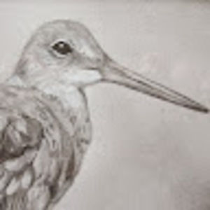 Meet your Posher, Pam